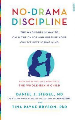 No-Drama Discipline PDF Download