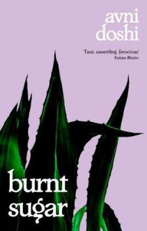 Burnt Sugar PDF Download