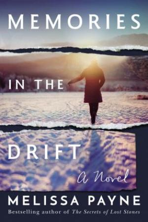 Memories in the Drift PDF Download