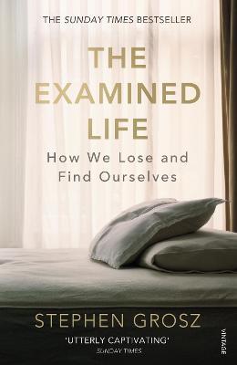 The Examined Life by Stephen Grosz PDF Download