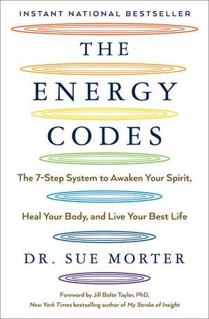 The Energy Codes by Sue Morter PDF Download