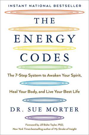 The Energy Codes by Sue Morter PDF Download