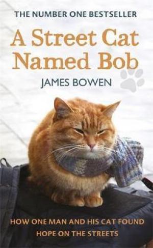 A Street Cat Named Bob by James Bowen PDF Download