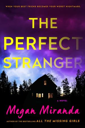 The Perfect Stranger PDF Download