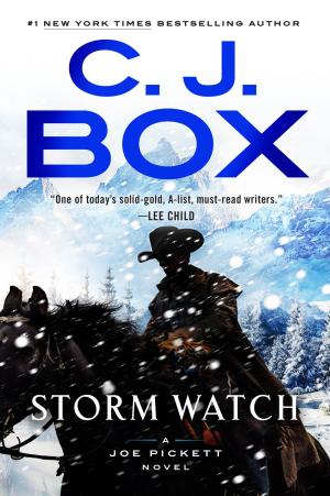 Storm Watch (Joe Pickett #23) PDF Download