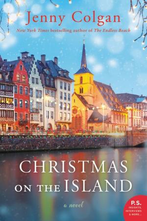 Christmas on the Island (Mure #3) PDF Download
