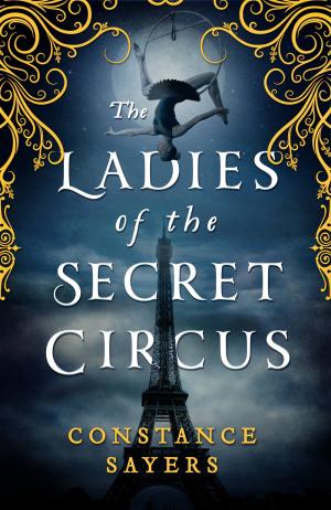 The Ladies of the Secret Circus PDF Download