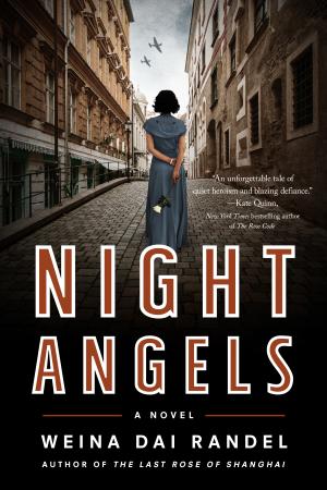 Night Angels by Weina Dai Randel PDF Download
