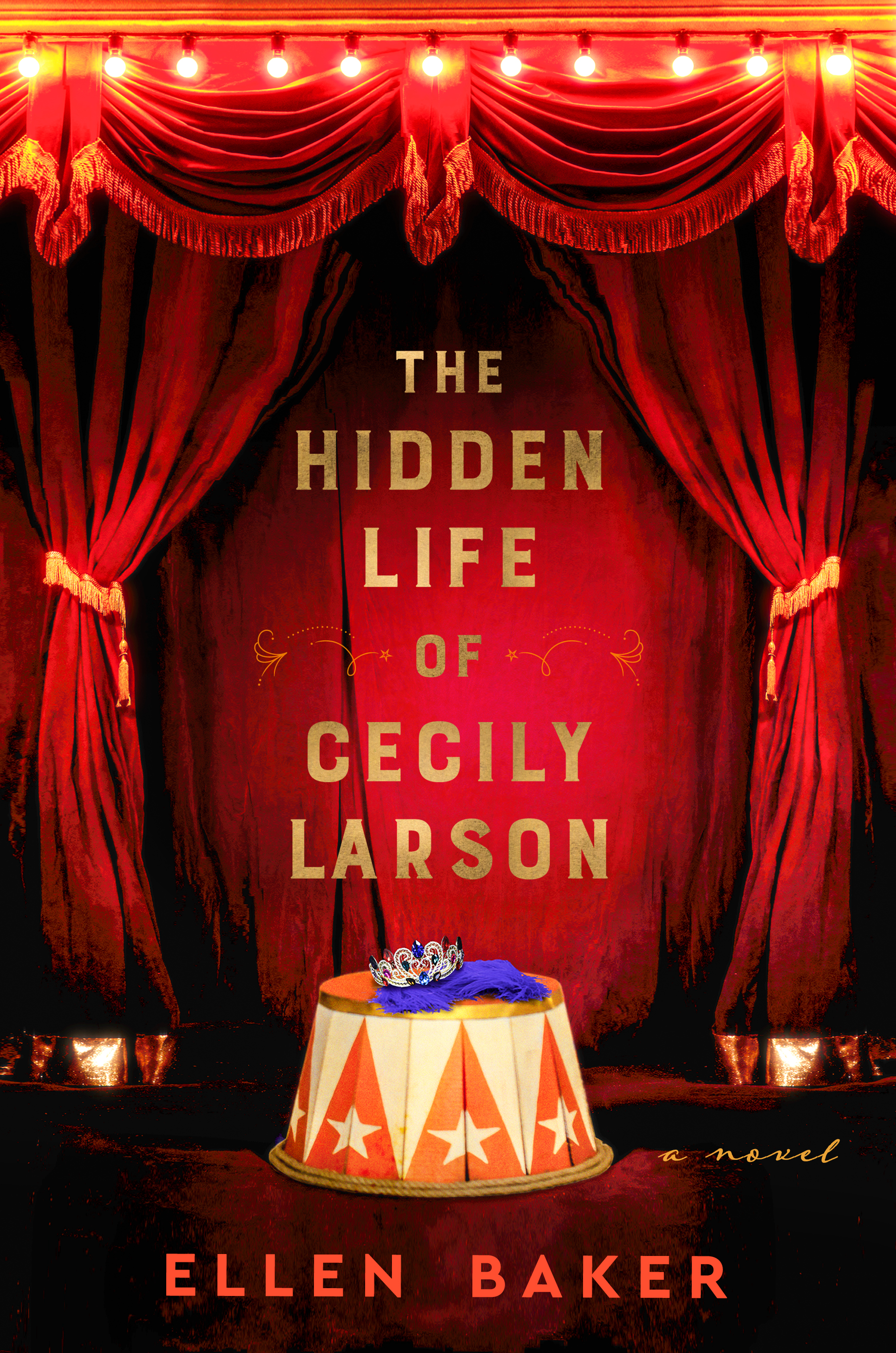 The Hidden Life of Cecily Larson PDF Download