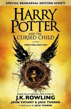 Harry Potter and the Cursed Child #8 PDF Download