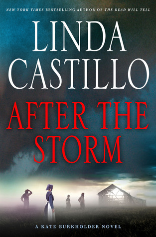 After the Storm (Kate Burkholder #7) PDF Download