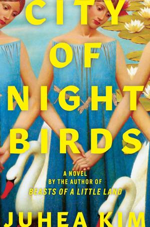 City of Night Birds PDF Download