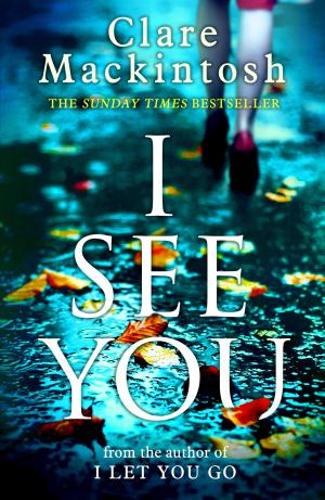 I See You by Clare Mackintosh PDF Download