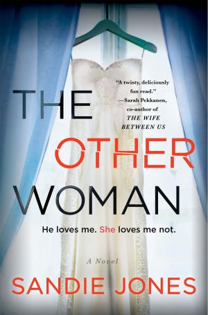The Other Woman PDF Download