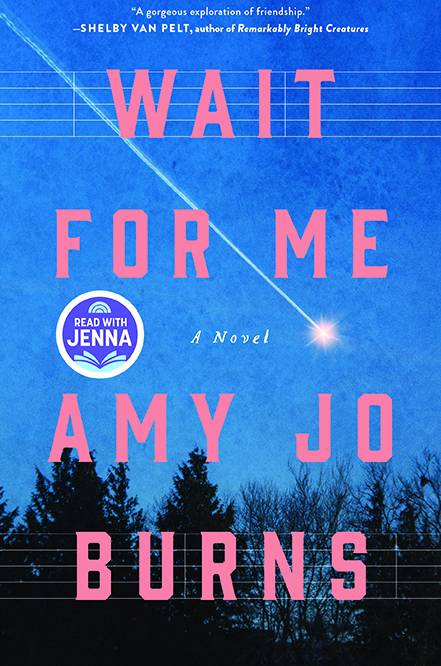 Wait for Me by Amy Jo Burns PDF Download