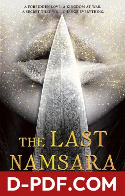 The Last Namsara by Kristen Ciccarelli book cover