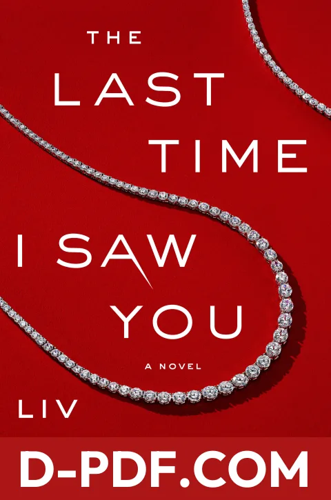 The Last Time I Saw You by Liv Constantine book cover