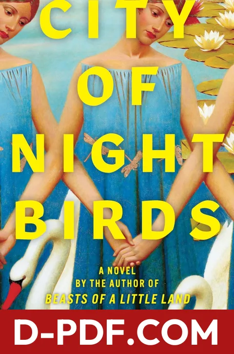 City of Night Birds by Juhea Kim book cover