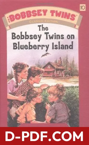 The Bobbsey Twins on Blueberry Island by Laura Lee Hope book cover