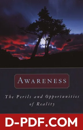 Awareness: The Perils and Opportunities of Reality by Anthony de Mello book cover