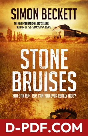Stone Bruises by Simon Beckett book cover