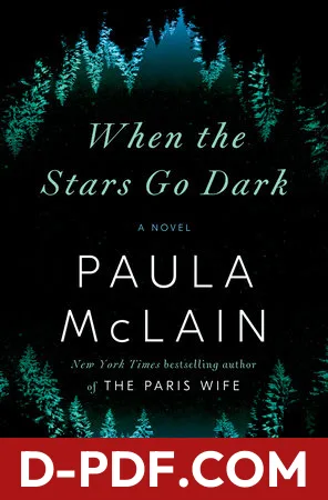 When the Stars Go Dark by Paula McLain book cover
