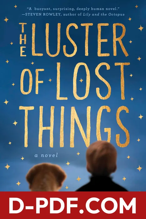 The Luster of Lost Things by Sophie Chen Keller book cover