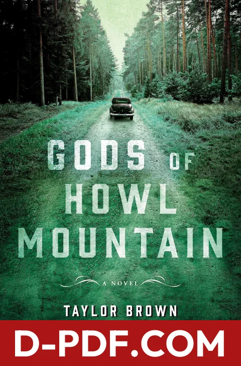 Gods of Howl Mountain by Taylor Brown book cover