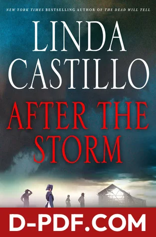 After the Storm by Linda Castillo book cover