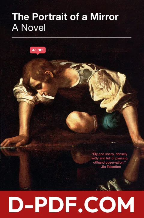 The Portrait of a Mirror by A. Natasha Joukovsky book cover