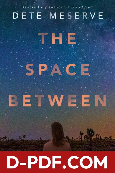 The Space Between by Dete Meserve book cover
