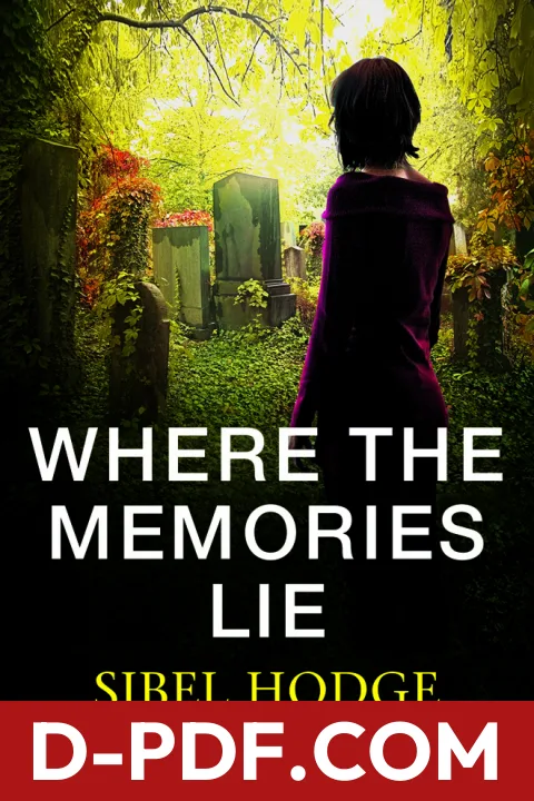 Where the Memories Lie by Sibel Hodge book cover