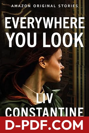Everywhere You Look by Liv Constantine book cover