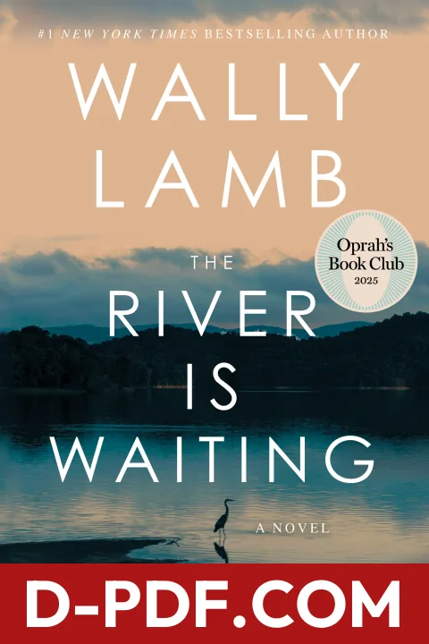 The River Is Waiting by Wally Lamb book cover
