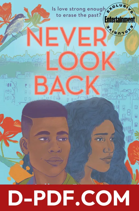 Never Look Back by Lilliam Rivera book cover