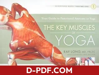 The Key Muscles of Yoga: Scientific Keys, Volume I by Ray Long book cover