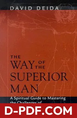 The Way of the Superior Man: A Spiritual Guide to Mastering the Challenges of Women, Work, and Sexual Desire by David Deida book cover