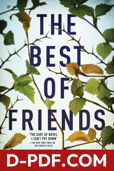 The Best of Friends by Lucinda Berry book cover