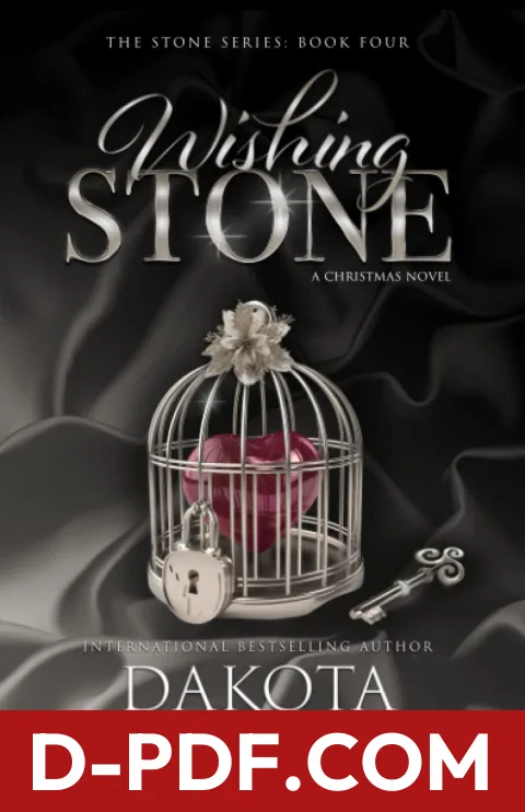 Wishing Stone by Dakota Willink book cover
