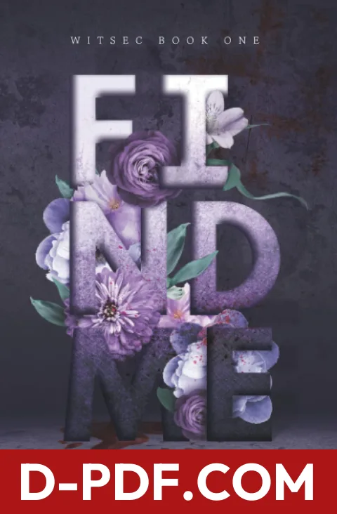 Find Me by Ashley N. Rostek book cover