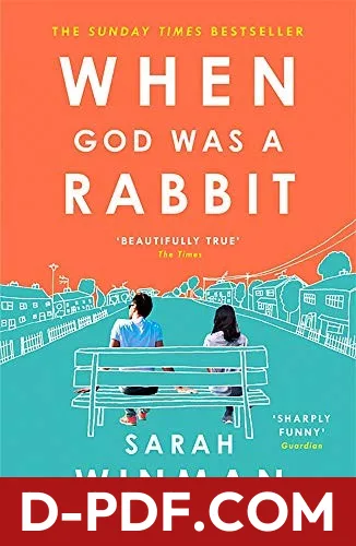When God Was a Rabbit by Sarah Winman book cover