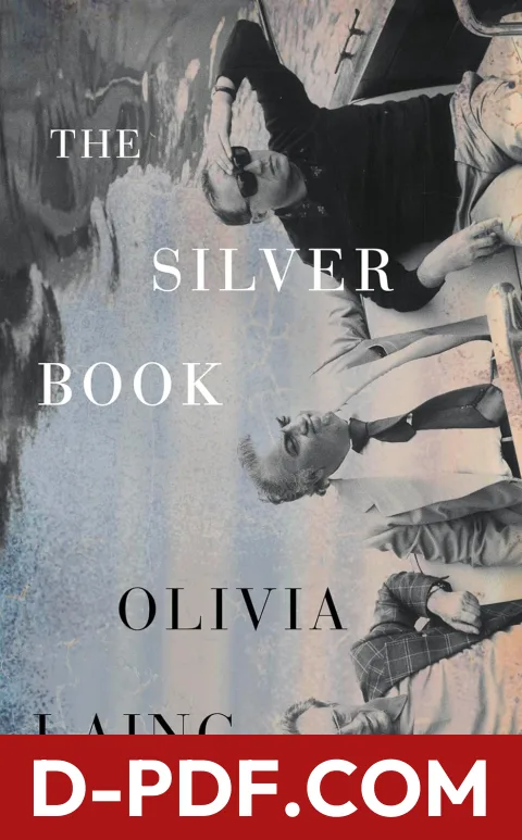 The Silver Book by Olivia Laing book cover