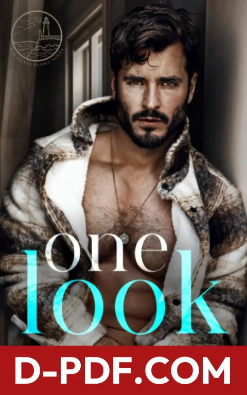 One Look by Lena Hendrix book cover