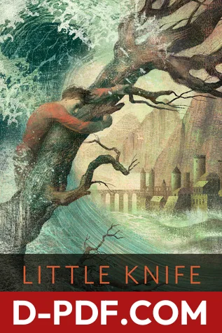 Little Knife by Leigh Bardugo book cover